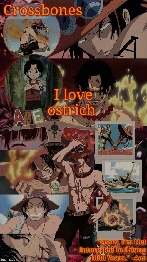 Crossbones' husband template | I love ostrich | image tagged in crossbones' husband template | made w/ Imgflip meme maker