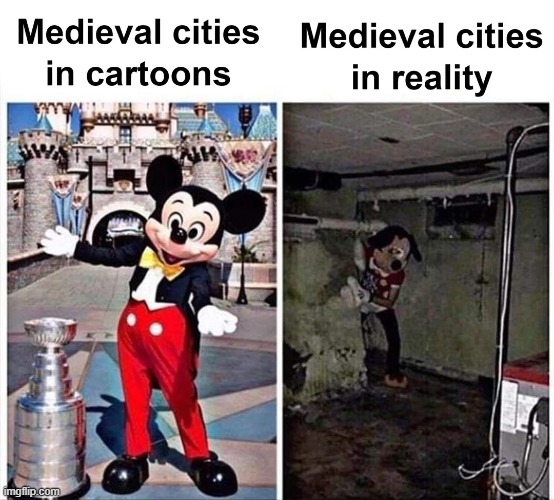 image tagged in medieval memes,city,castle,cartoons,reality | made w/ Imgflip meme maker
