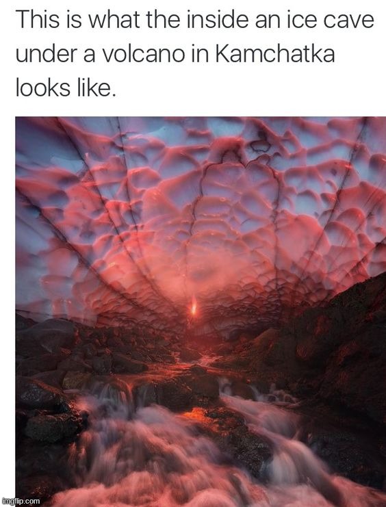 Looks like something from a dream | image tagged in memes,funny | made w/ Imgflip meme maker