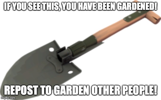 this will be a template soon | IF YOU SEE THIS, YOU HAVE BEEN GARDENED! REPOST TO GARDEN OTHER PEOPLE! | made w/ Imgflip meme maker