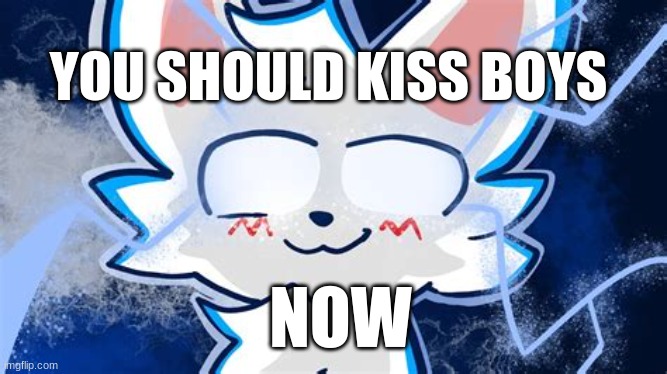 boykisser meme | NOW YOU SHOULD KISS BOYS | image tagged in boykisser meme | made w/ Imgflip meme maker