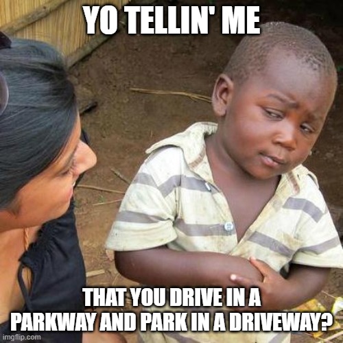 Third world kid is skeptical about traffic terms | YO TELLIN' ME; THAT YOU DRIVE IN A PARKWAY AND PARK IN A DRIVEWAY? | image tagged in memes,third world skeptical kid | made w/ Imgflip meme maker