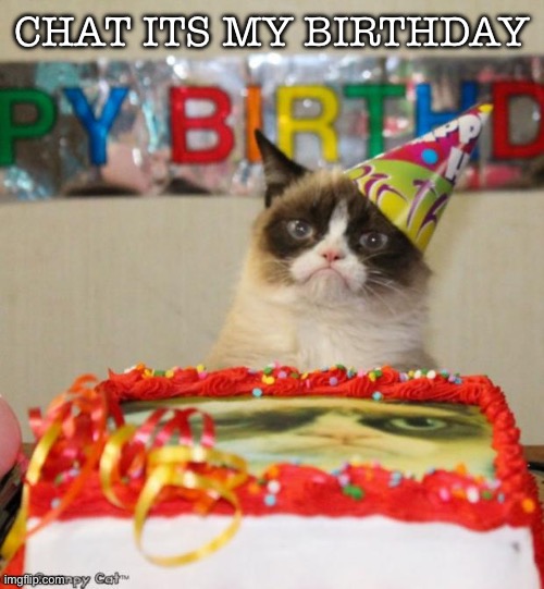 Grumpy Cat Birthday | CHAT ITS MY BIRTHDAY | image tagged in memes,grumpy cat birthday,grumpy cat | made w/ Imgflip meme maker