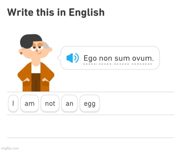 Exactly what an egg would say | made w/ Imgflip meme maker