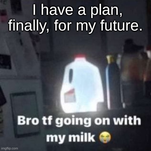 weeee | I have a plan, finally, for my future. | image tagged in weeee | made w/ Imgflip meme maker