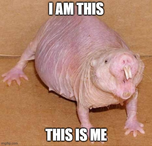 naked mole rat | I AM THIS; THIS IS ME | image tagged in naked mole rat | made w/ Imgflip meme maker