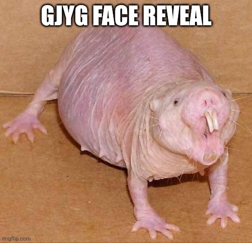 naked mole rat | GJYG FACE REVEAL | image tagged in naked mole rat | made w/ Imgflip meme maker