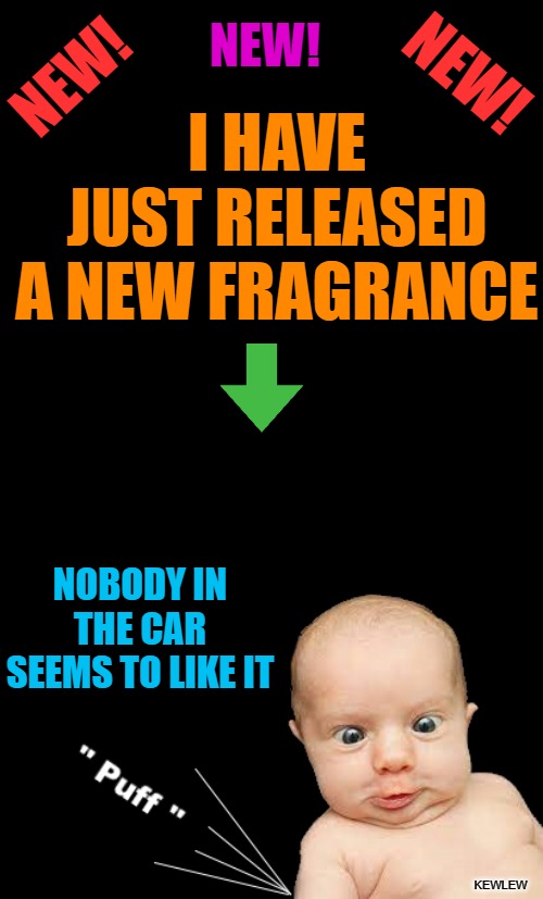 NEWS I just released a new fragrance! | NEW! I HAVE
JUST RELEASED A NEW FRAGRANCE; NEW! NEW! NOBODY IN THE CAR SEEMS TO LIKE IT; KEWLEW | image tagged in fragrance,news,kewlew | made w/ Imgflip meme maker
