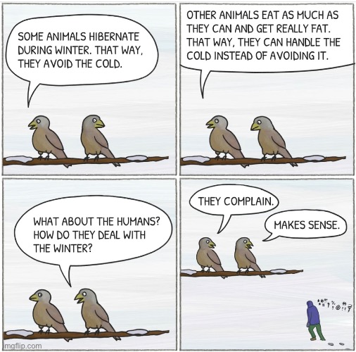 How to cope | image tagged in winter,how to cope,birds,humans,comics | made w/ Imgflip meme maker