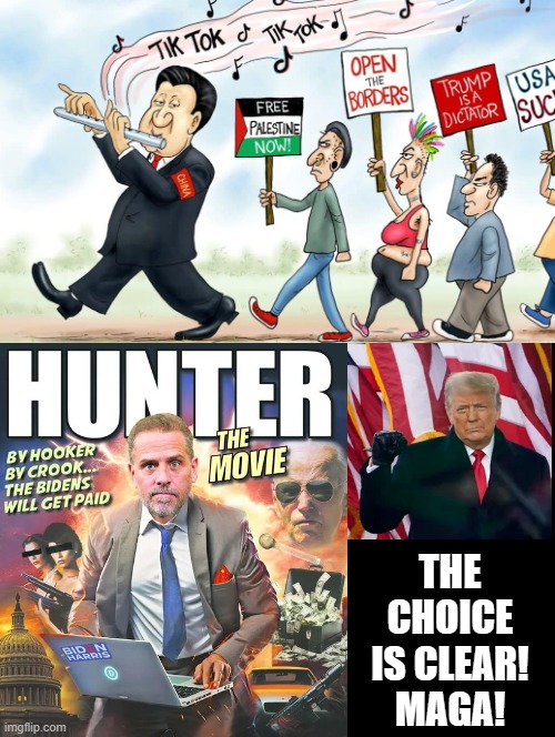 The choice is clear!!!  MAGA!! | THE CHOICE IS CLEAR! MAGA! | image tagged in china virus,hunter biden,human stupidity,special kind of stupid | made w/ Imgflip meme maker