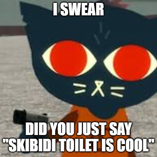 No. | I SWEAR; DID YOU JUST SAY "SKIBIDI TOILET IS COOL" | image tagged in no | made w/ Imgflip meme maker