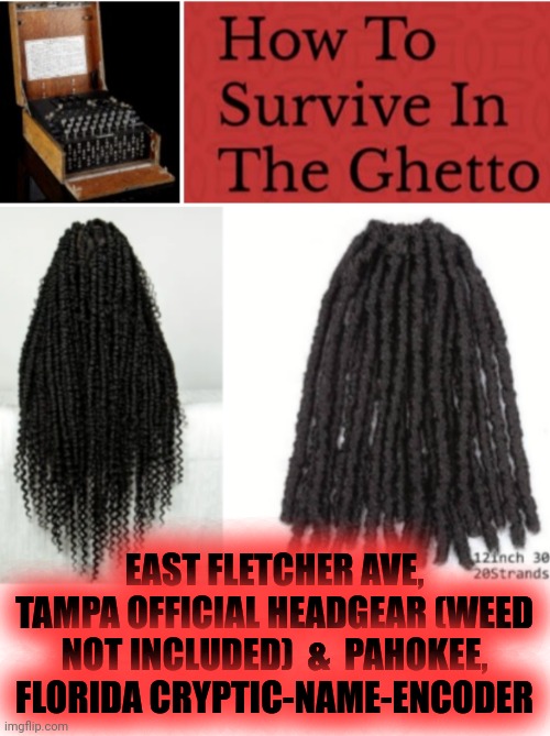 Funny | EAST FLETCHER AVE, TAMPA OFFICIAL HEADGEAR (WEED NOT INCLUDED)  &  PAHOKEE, FLORIDA CRYPTIC-NAME-ENCODER | image tagged in funny | made w/ Imgflip meme maker