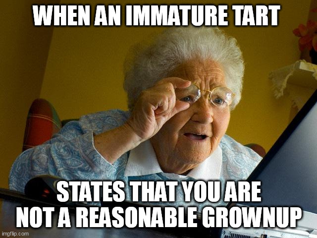 reasonable grownup | WHEN AN IMMATURE TART; STATES THAT YOU ARE NOT A REASONABLE GROWNUP | image tagged in memes,grandma finds the internet,funny,grownup,tart,sassy | made w/ Imgflip meme maker