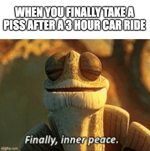 finally | WHEN YOU FINALLY TAKE A PISS AFTER A 3 HOUR CAR RIDE | image tagged in finally inner peace | made w/ Imgflip meme maker