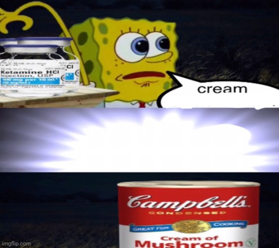 Cream | image tagged in cream of mushroom | made w/ Imgflip meme maker