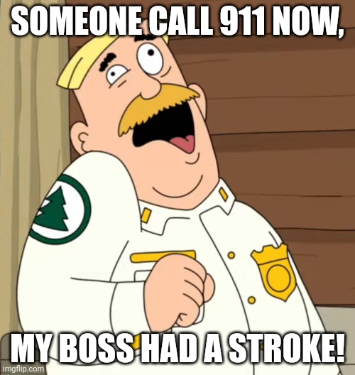 Help, the head ranger has a seizure, i mean, stroke! | SOMEONE CALL 911 NOW, MY BOSS HAD A STROKE! | image tagged in brickleberry stroke,911,stroke,brickleberry,seizure | made w/ Imgflip meme maker