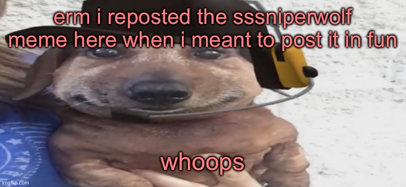 chucklenuts | erm i reposted the sssniperwolf meme here when i meant to post it in fun; whoops | image tagged in chucklenuts | made w/ Imgflip meme maker