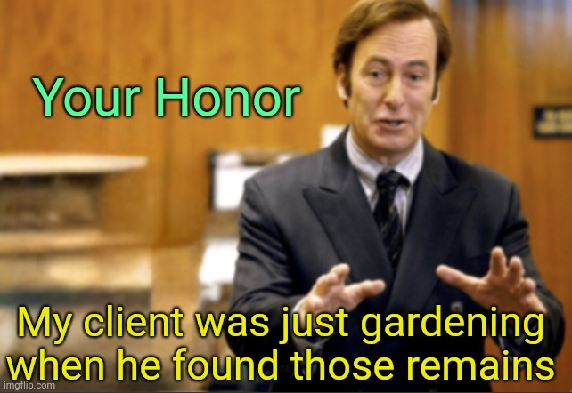 The Constant Gardener | Your Honor; My client was just gardening 
when he found those remains | image tagged in saul goodman defending,bones,remains,gardening | made w/ Imgflip meme maker