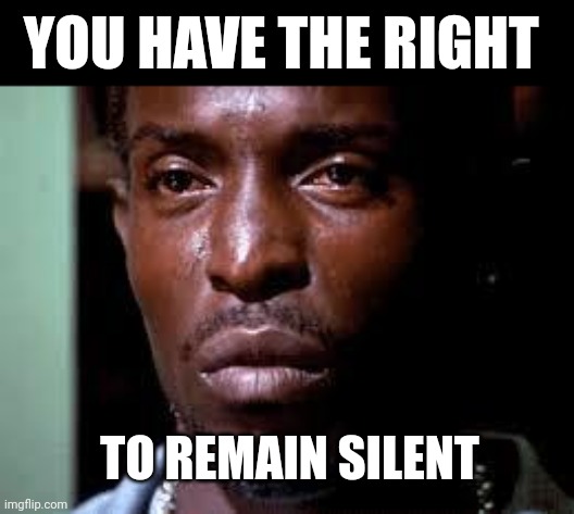 The Wire | YOU HAVE THE RIGHT TO REMAIN SILENT | image tagged in the wire | made w/ Imgflip meme maker