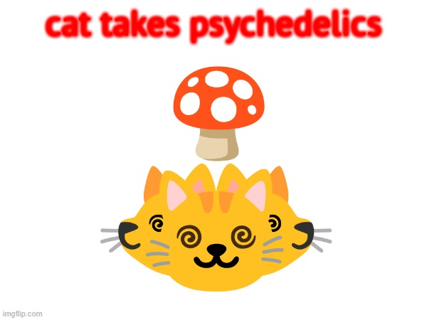 cats | cat takes psychedelics | image tagged in drugs | made w/ Imgflip meme maker