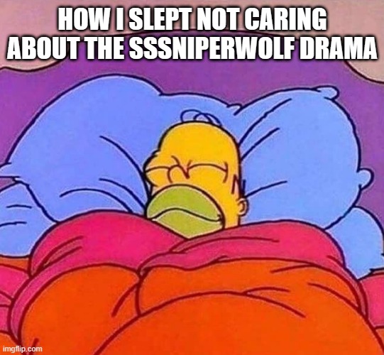 I don't care about it lol | HOW I SLEPT NOT CARING ABOUT THE SSSNIPERWOLF DRAMA | image tagged in homer simpson sleeping peacefully | made w/ Imgflip meme maker