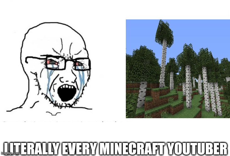 Like why | LITERALLY EVERY MINECRAFT YOUTUBER | image tagged in soyboy vs yes chad | made w/ Imgflip meme maker