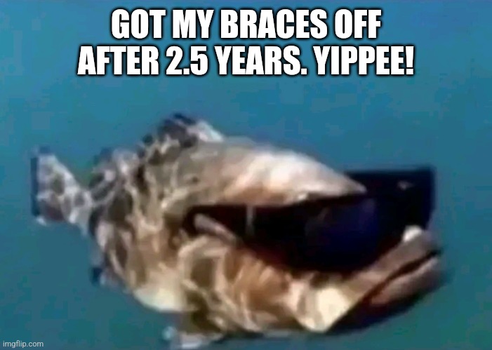 And yes you guys needed to know | GOT MY BRACES OFF AFTER 2.5 YEARS. YIPPEE! | image tagged in hi | made w/ Imgflip meme maker