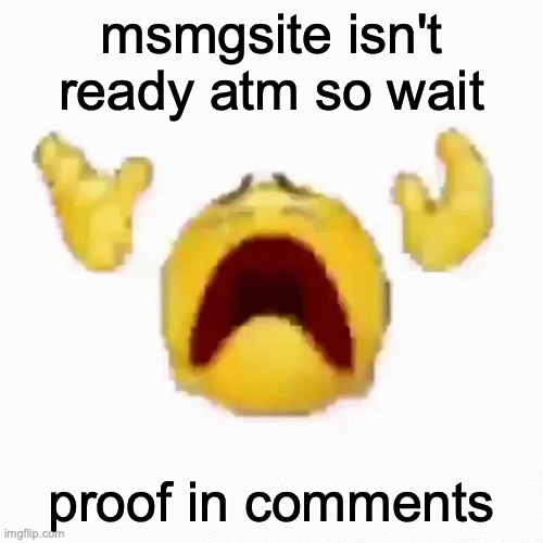 :nooo: | msmgsite isn't ready atm so wait; proof in comments | image tagged in nooo | made w/ Imgflip meme maker