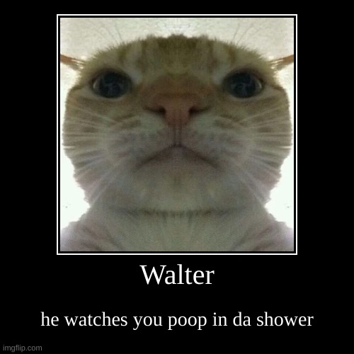 Walter | he watches you poop in da shower | image tagged in funny,demotivationals | made w/ Imgflip demotivational maker