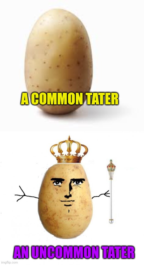 A COMMON TATER; AN UNCOMMON TATER | image tagged in patato,potato king | made w/ Imgflip meme maker