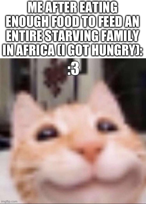 :3 | ME AFTER EATING ENOUGH FOOD TO FEED AN ENTIRE STARVING FAMILY IN AFRICA (I GOT HUNGRY): | image tagged in e | made w/ Imgflip meme maker