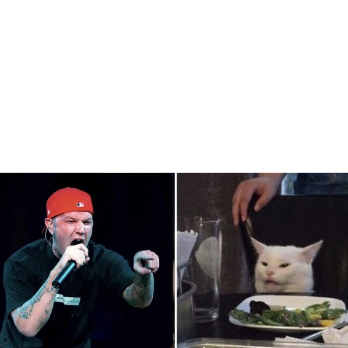 High Quality Fred durst yelling at cat Blank Meme Template