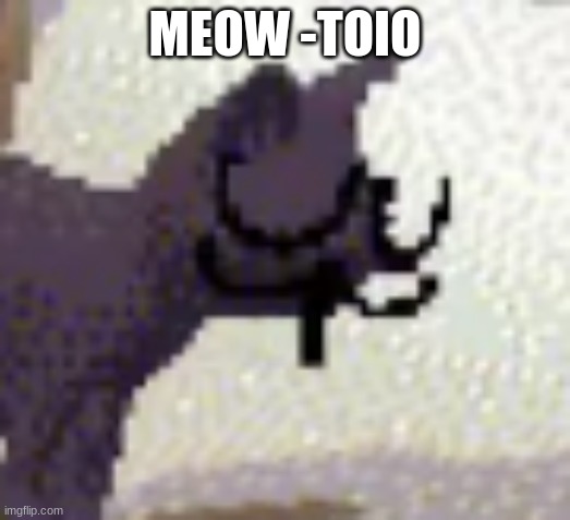 Meet Ringi's cat! | MEOW -TOIO | image tagged in cats,meow,dave and bambi,ring | made w/ Imgflip meme maker