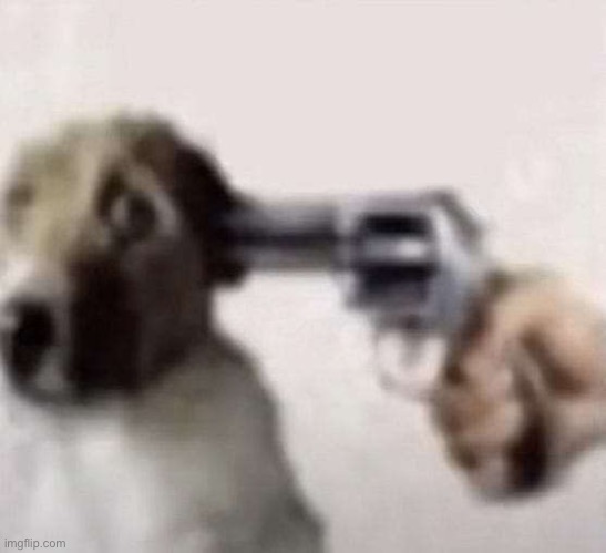 Dorg | image tagged in dorg | made w/ Imgflip meme maker