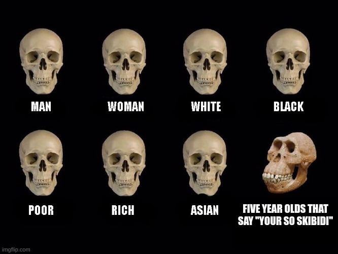 empty skulls of truth | FIVE YEAR OLDS THAT SAY "YOUR SO SKIBIDI" | image tagged in empty skulls of truth | made w/ Imgflip meme maker