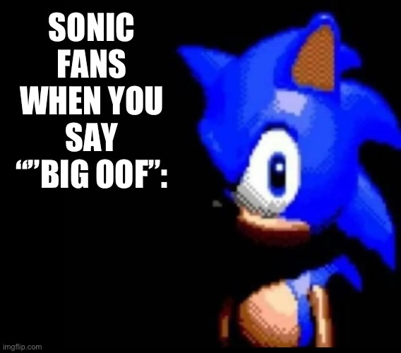 Don’t say it | SONIC FANS WHEN YOU SAY “”BIG OOF”: | image tagged in sonic stares | made w/ Imgflip meme maker
