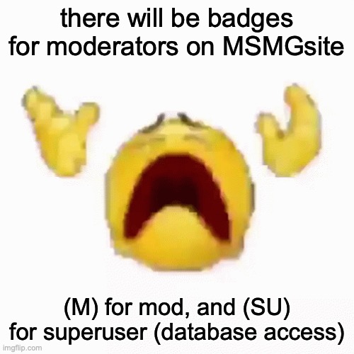 :nooo: | there will be badges for moderators on MSMGsite; (M) for mod, and (SU) for superuser (database access) | image tagged in nooo | made w/ Imgflip meme maker