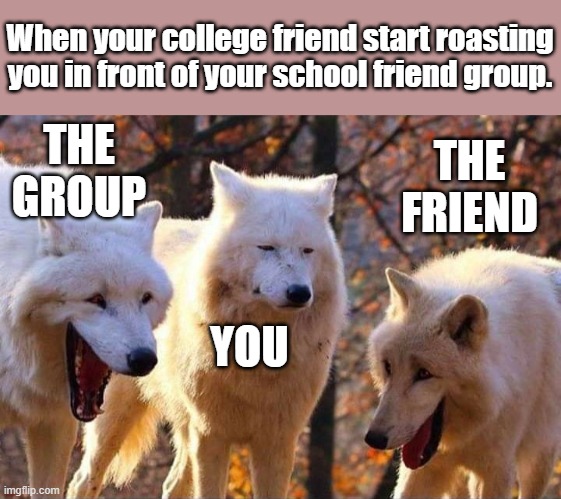 Friends | When your college friend start roasting you in front of your school friend group. THE GROUP; THE FRIEND; YOU | image tagged in laughing wolf | made w/ Imgflip meme maker