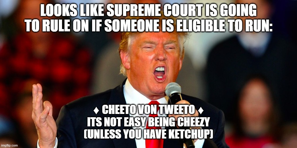 Cheeto Von Tweeto | LOOKS LIKE SUPREME COURT IS GOING TO RULE ON IF SOMEONE IS ELIGIBLE TO RUN:; ♦ CHEETO VON TWEETO ♦
ITS NOT EASY BEING CHEEZY
(UNLESS YOU HAVE KETCHUP) | image tagged in donald trump orange | made w/ Imgflip meme maker