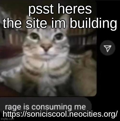 https://soniciscool.neocities.org/ | psst heres the site im building; https://soniciscool.neocities.org/ | image tagged in rage is consuming me | made w/ Imgflip meme maker