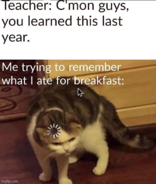 cat loading | image tagged in memes,funny,relatable,cats | made w/ Imgflip meme maker