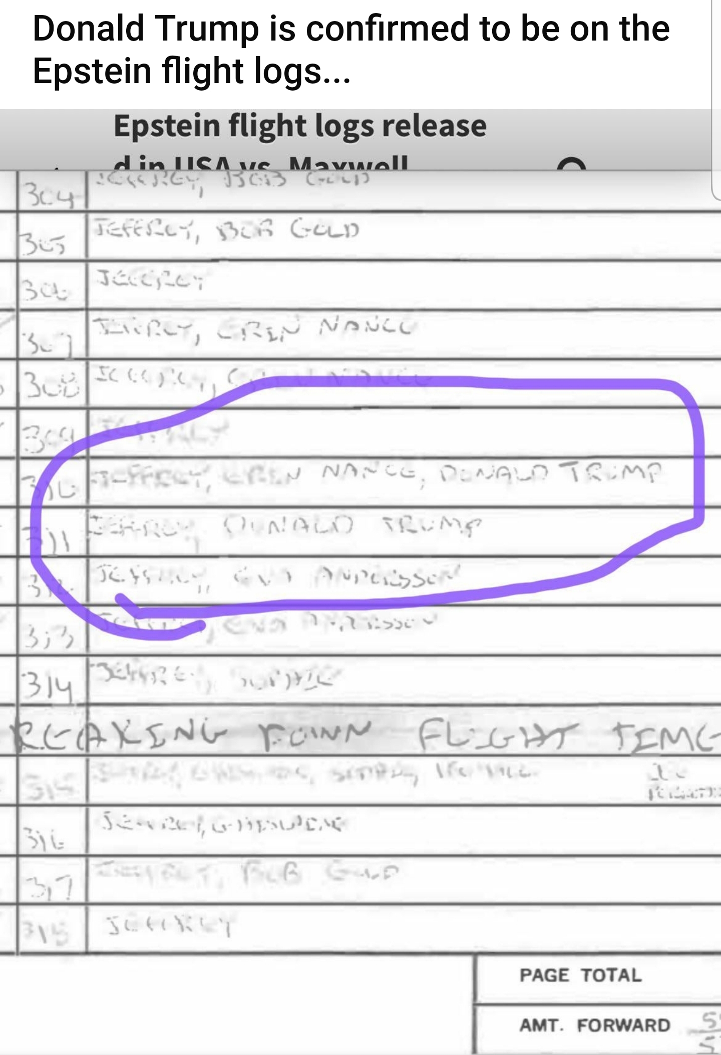 High Quality Trump Epstein flight log Blank Meme Template