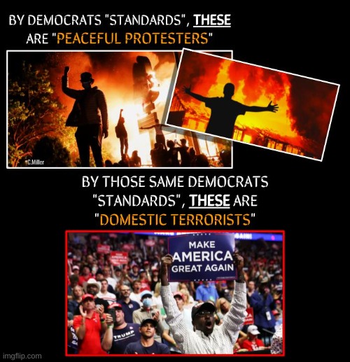 Somehow I don't think the term "domestic terrorists" means what Democrats would like for us to believe it does. | image tagged in democrats,government corruption,republicans,president trump,politics | made w/ Imgflip meme maker