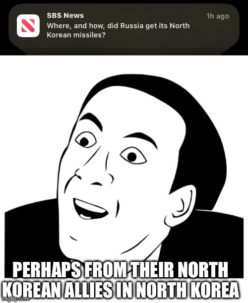 The News f**king dare patronise me | PERHAPS FROM THEIR NORTH KOREAN ALLIES IN NORTH KOREA | image tagged in you don't say | made w/ Imgflip meme maker
