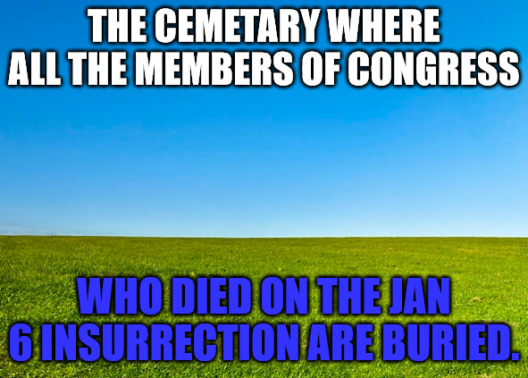 A Dark Day | THE CEMETARY WHERE ALL THE MEMBERS OF CONGRESS; WHO DIED ON THE JAN 6 INSURRECTION ARE BURIED. | image tagged in empty field clear skies | made w/ Imgflip meme maker