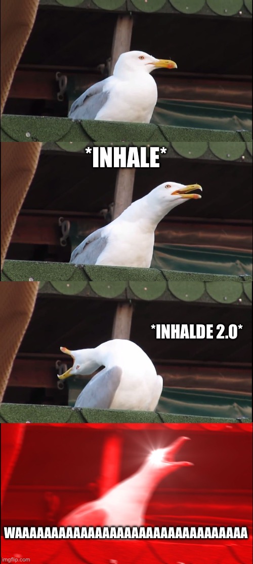 Inhaling Seagull Meme | *INHALE* *INHALDE 2.0* WAAAAAAAAAAAAAAAAAAAAAAAAAAAAAAAA | image tagged in memes,inhaling seagull | made w/ Imgflip meme maker