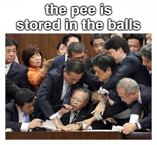 the pee is stored in the balls | image tagged in i knew it | made w/ Imgflip meme maker