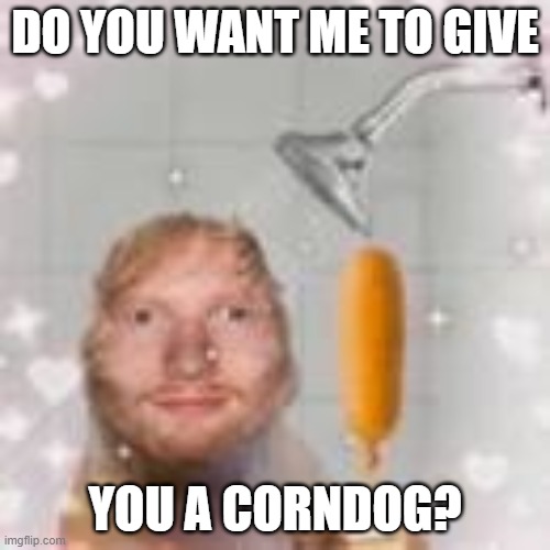 c | DO YOU WANT ME TO GIVE; YOU A CORNDOG? | image tagged in ed sheeran holding a corn dog in the shower | made w/ Imgflip meme maker