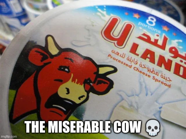 The miserable cow | THE MISERABLE COW 💀 | image tagged in the miserable cow,skull,skulls,bruh,bruhh | made w/ Imgflip meme maker