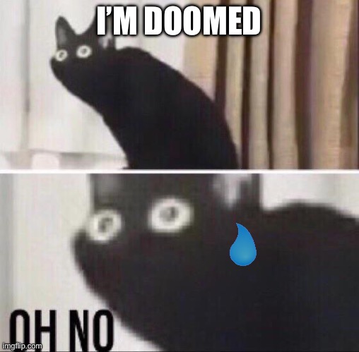 Oh no cat | I’M DOOMED | image tagged in oh no cat | made w/ Imgflip meme maker